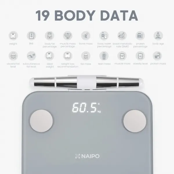 Ваги Naipo (Gray) (NP-BS03)