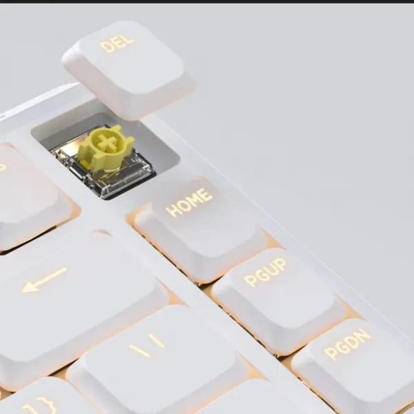 Ігрова клавіатура Keychron J1 82 Key RGB K Pro Brown (White) (J1-Q3-UA)