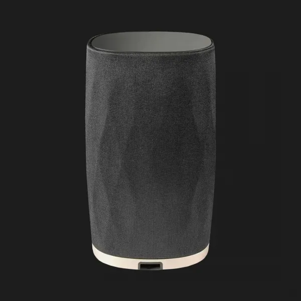Бездротова акустика Bowers & Wilkins Formation Flex (Black)