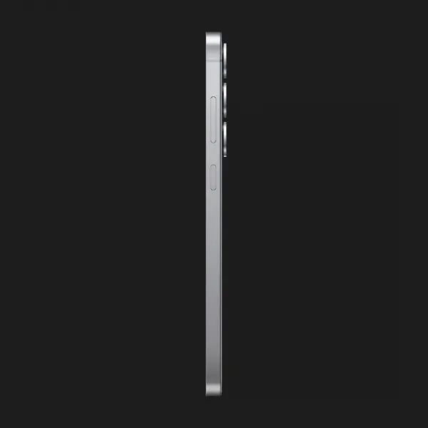 Samsung Galaxy S25+ 12/256GB (Silver Shadow) (S936) (Standard)