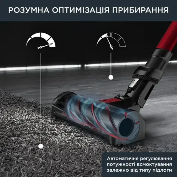 Пилосос Rowenta X-Force Flex 12.60 Auto Animal (RH98A9WO)